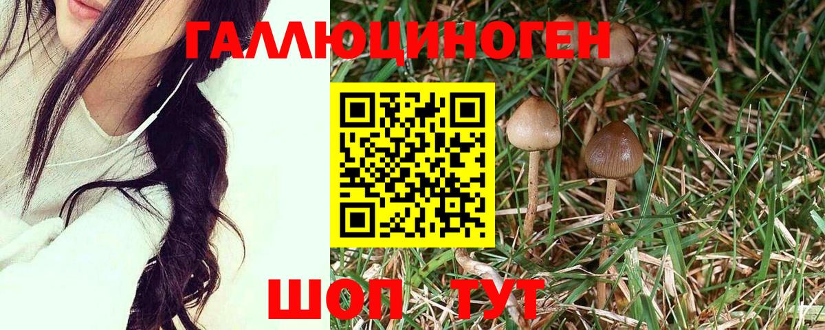 Псилоцибиновые грибы ЛСД  Вход с VPN  Людиново  Псилоцибиновые грибы Magic Shrooms 